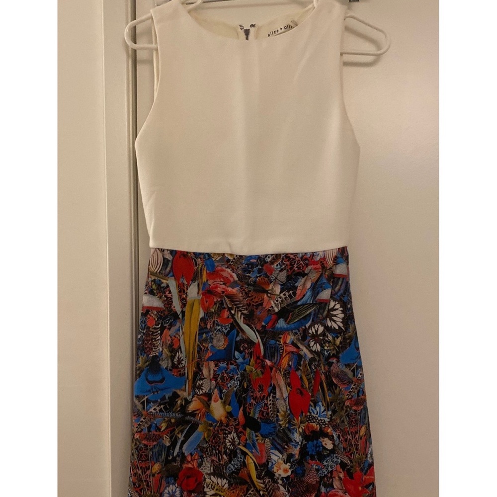 Alice and Olivia Dress